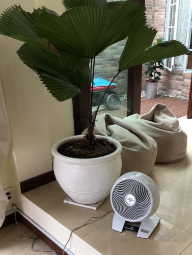 Customer photo review of Bundle - Vornado 6303DC X 2 Air Circulator UP: $798
