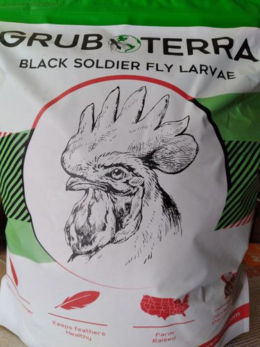Customer photo review of GrubTerra Dried Larvae Sample