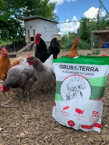 Customer photo review of GrubTerra Dried Larvae