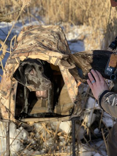 Customer photo review of Men's Silicone Duck Band Ring