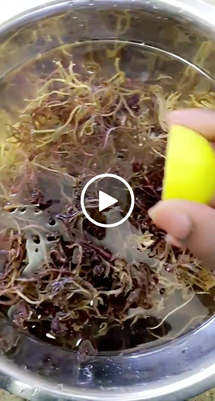 Customer video review of Jamaican (Thick) Purple-Gold Irish Sea Moss