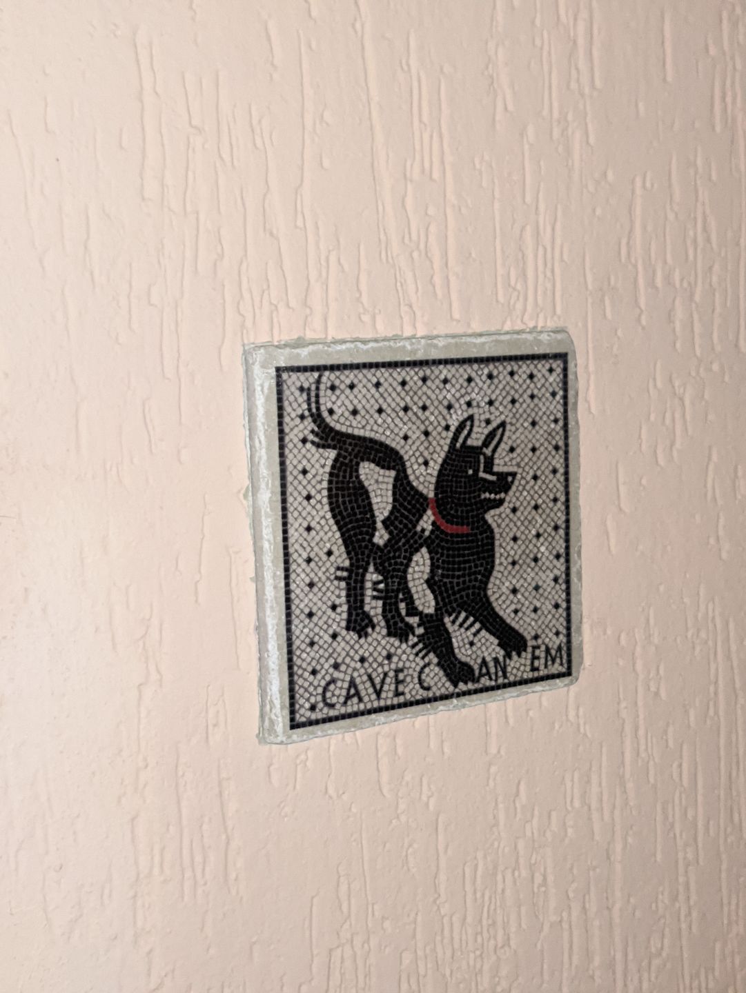 Customer photo review of Cave Canem mosaico di Pompei - mattonella in marmo
