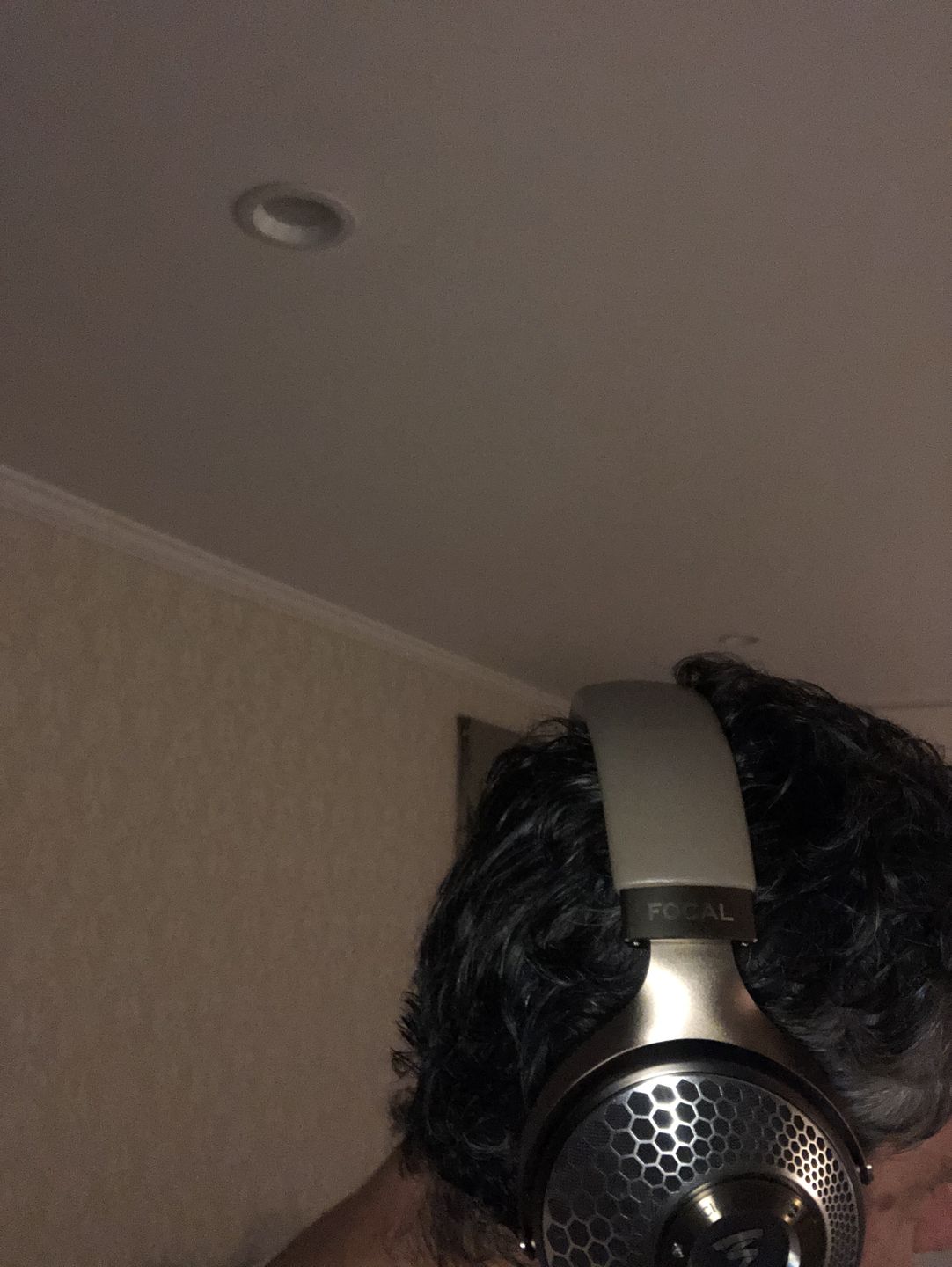 Customer photo review of Focal Clear Mg Headphones