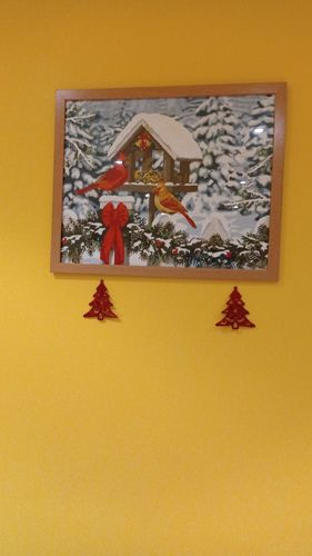 Customer photo review of Navidad y pájaros