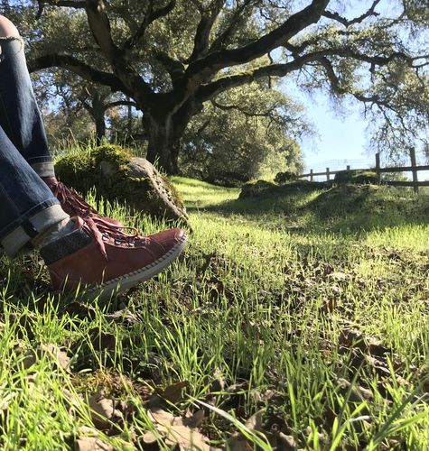 Customer photo review of BIZA ROYAL