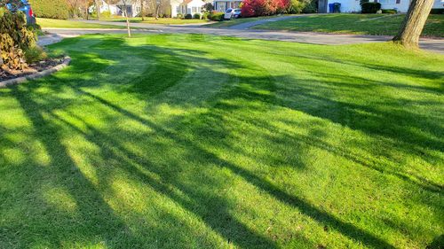 Customer photo review of Protene Performance Fall Fertilizer