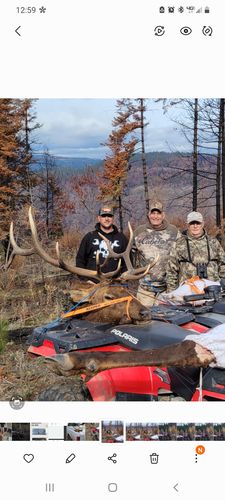 Customer photo review of 14 - Nobody Hoodie