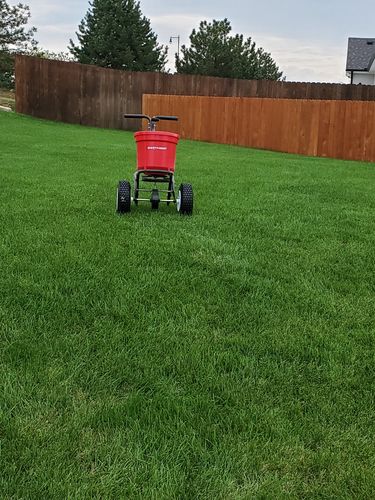 Customer photo review of Protene Performance Fall Fertilizer