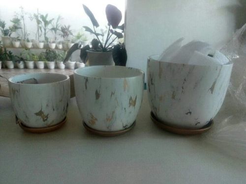 Review photo 1 by Margarita B.
