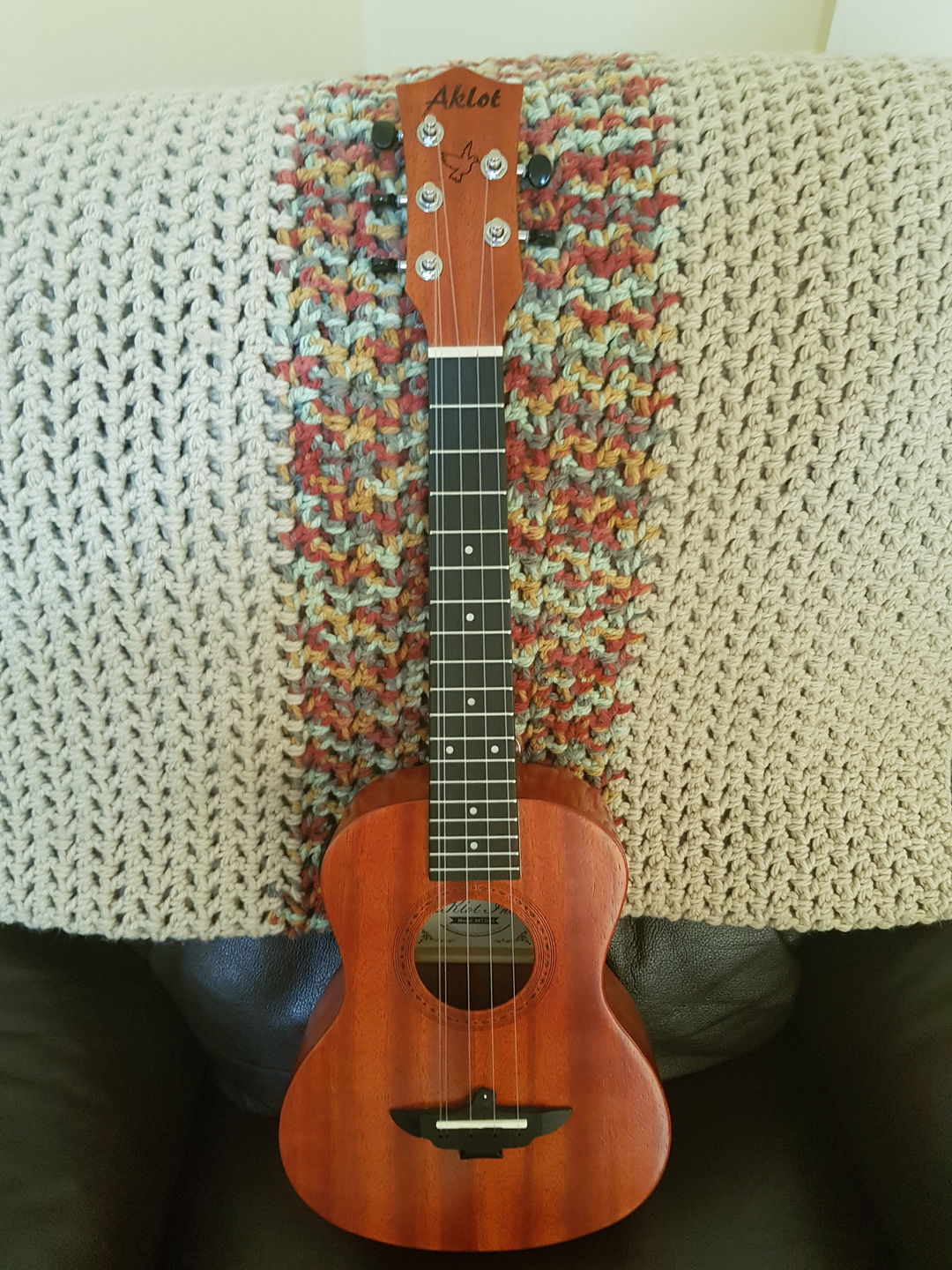 Customer photo review of CT-LG Worth Clear Low G Tenor Ukulele Strings Fluorocarbon 2 Restrings per Packet