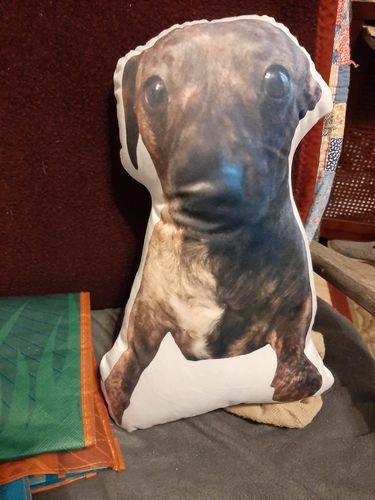 Customer photo review of Create A Custom Dog Pillow