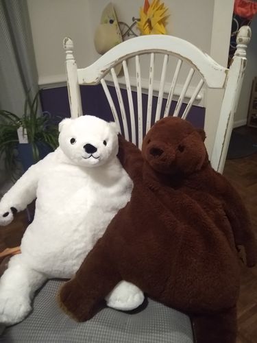 Customer photo review of SKOGGY BEAR