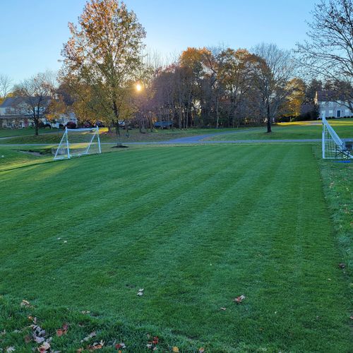 Customer photo review of The Five 0 Five