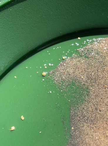 Customer photo review of Nugget Reserve 'MUSEUM SPECIMEN CHASE' - Gold Panning Paydirt Concentrate