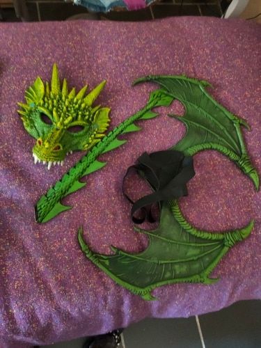 Customer photo review of Déguisement Dragon<br> Vert