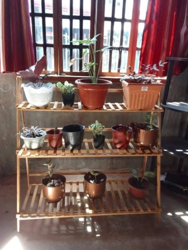 Review photo 1 by Erna S.