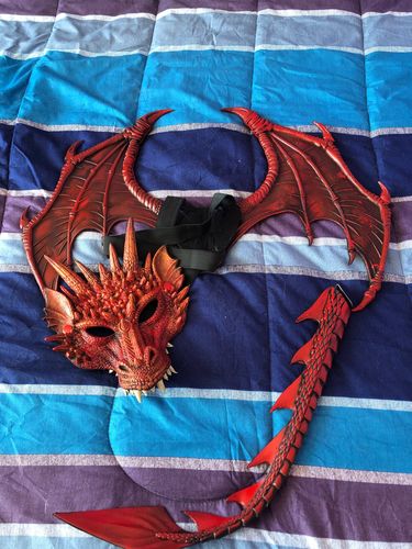 Customer photo review of Déguisement Dragon<br> 8 Ans