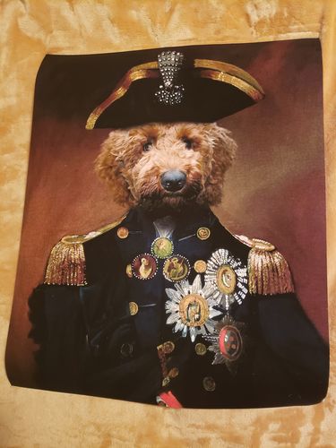 Customer photo review of Lord Nelson - Custom Vintage Pet Portrait