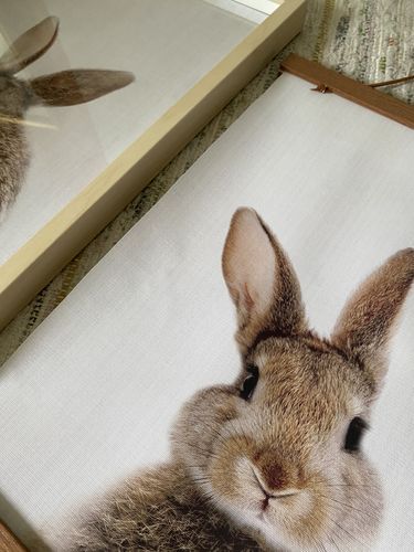 Customer photo review of Bunny Baby Canvas Prints