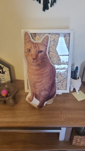 Customer photo review of Create A Custom Cat Pillow