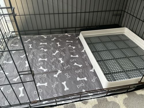 Wholesome Pets Japan レビュー 629 レビュー Wholesomepetsjapan Com
