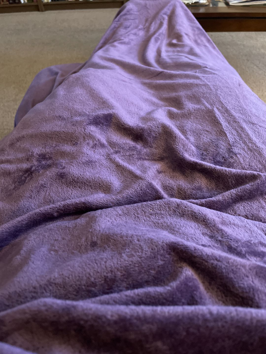 Customer photo review of BiggerBee Minky Throw Blanket PLC Jewel Purple