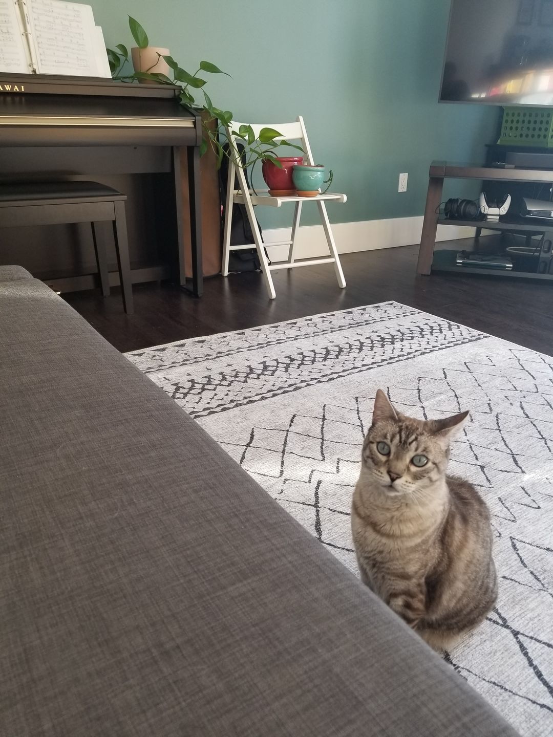 Customer photo review of Alma Scandi Silver Rug