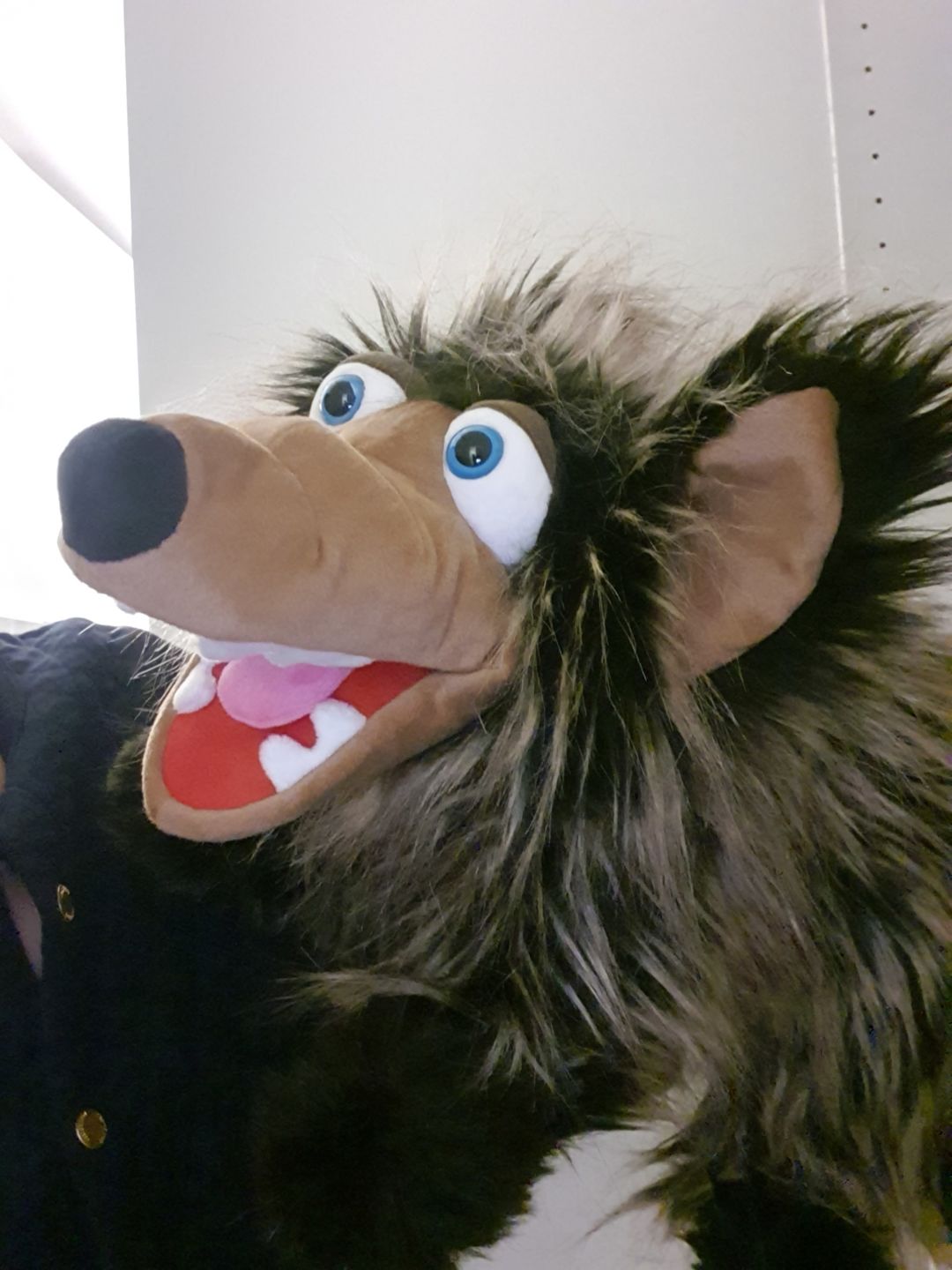 Customer photo review of Raspoutine le loup Marionnette