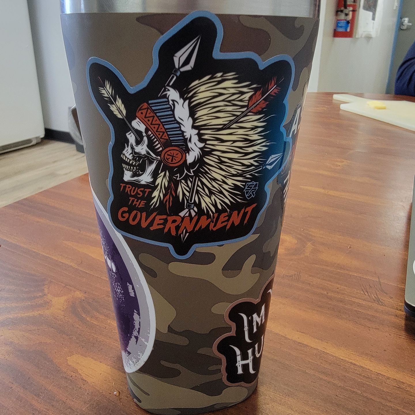Customer photo review of Trust the Government Decal