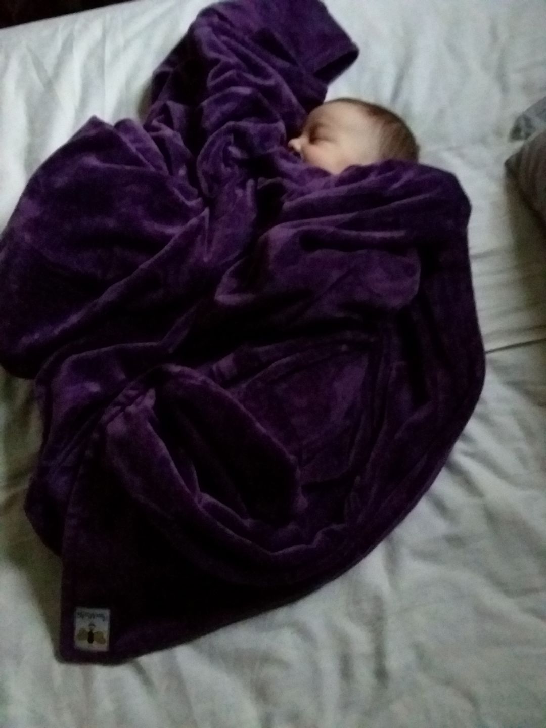 Customer photo review of BiggerBee Minky Throw Blanket PLC Jewel Purple