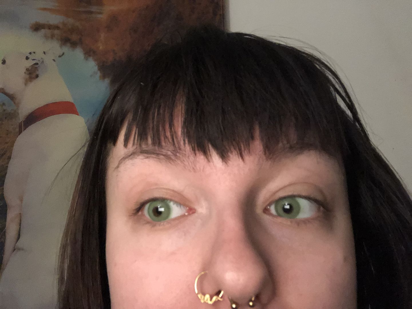 Customer photo review of Kazzue Angel Green
