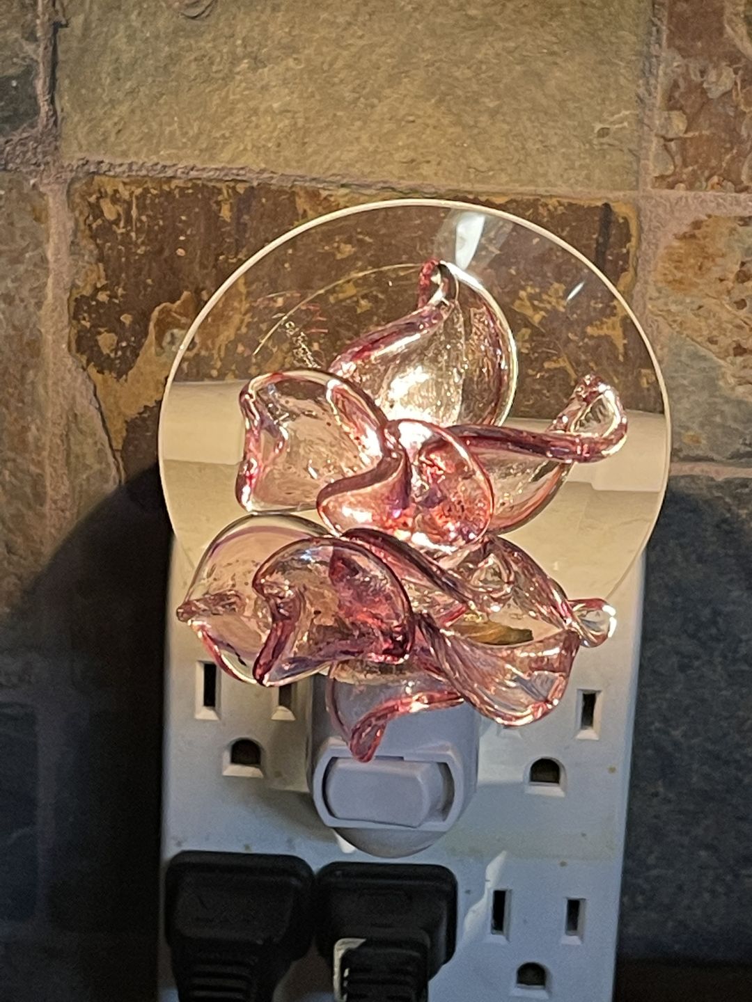 Customer photo review of Memorial Nightlight Flower with Cremation Ash