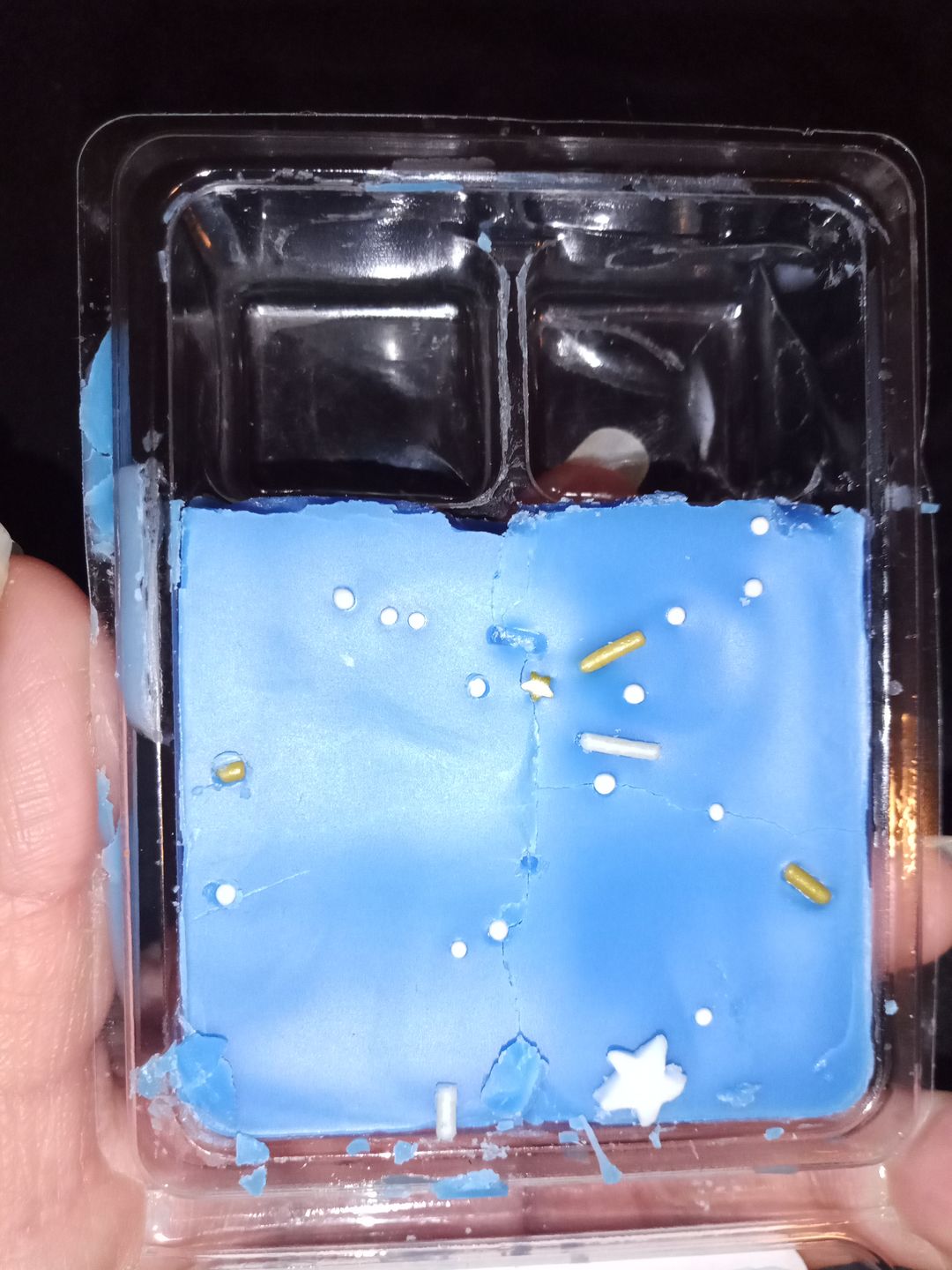 Customer photo review of Fairy Dust Wax Melts