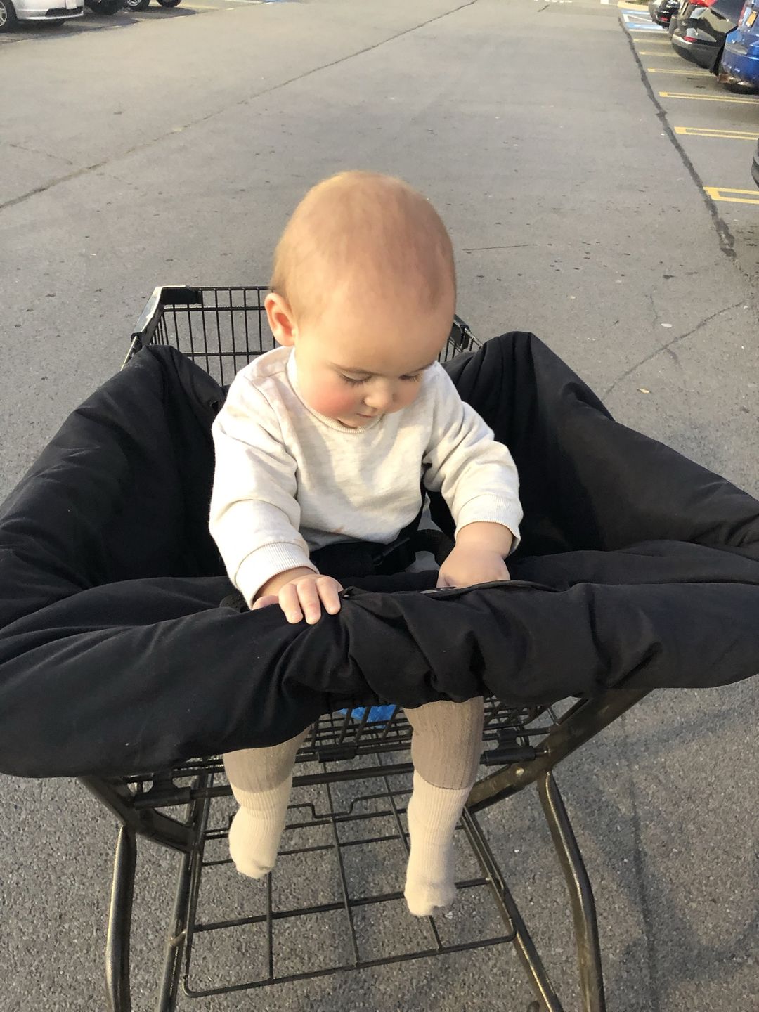 Customer photo review of Baby Shopping Cart Cover - Black Fabric