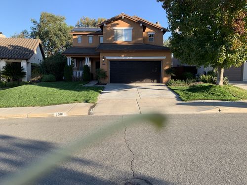 Customer photo review of GCI Turf Type Tall fescue Grass Seed