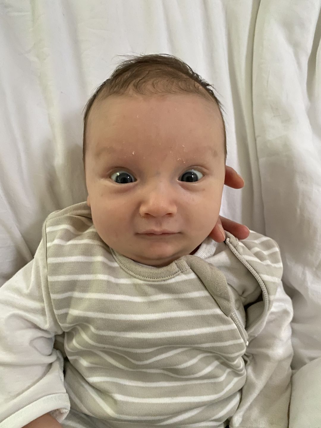 Customer photo review of 4 Season® Classic Baby Sleeping Bag, Merino Wool & Organic Cotton, Birch Gray