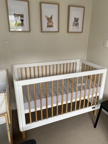 riya cot