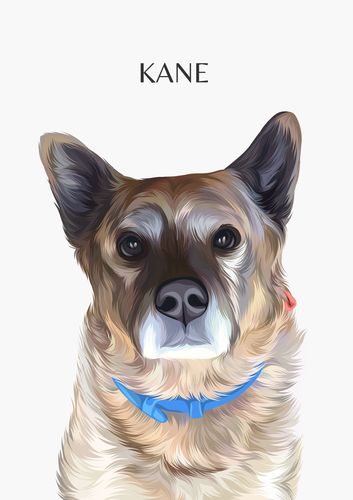 Customer photo review of One-Pet Portrait