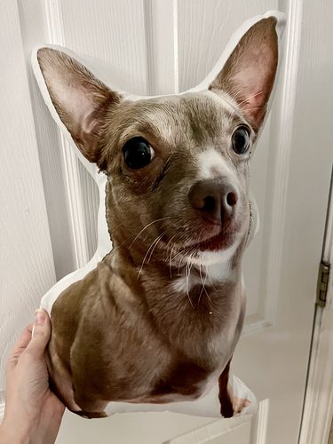 Customer photo review of Create A Custom Dog Pillow