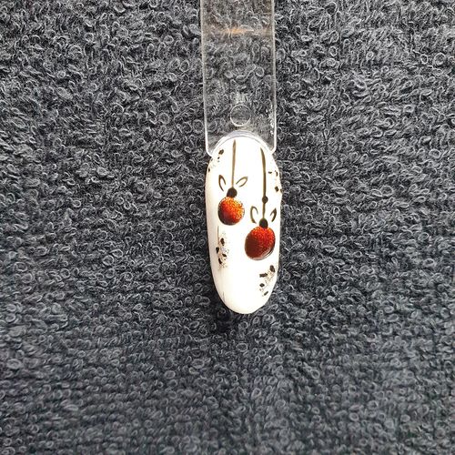 Customer photo review of VitraGel Didier Lab No4 10ml
