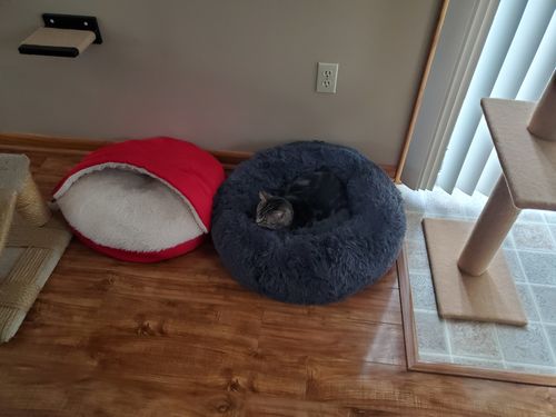 Customer photo review of Comfy Pet Bed Calming High Stretch Soft Faux Fur for Dogs Cats