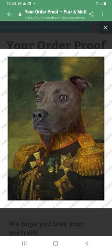 Customer photo review of The General - Custom Vintage Pet Portrait