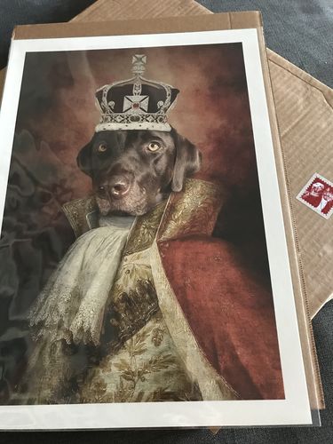 Customer photo review of The King - Custom Vintage Pet Portrait
