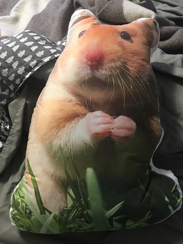 Customer photo review of Create A Custom Animal Pillow