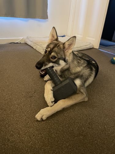 Customer photo review of The Fenrir Hammer