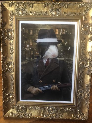 Customer photo review of The 1920s Gangster - Custom Pet Portrait