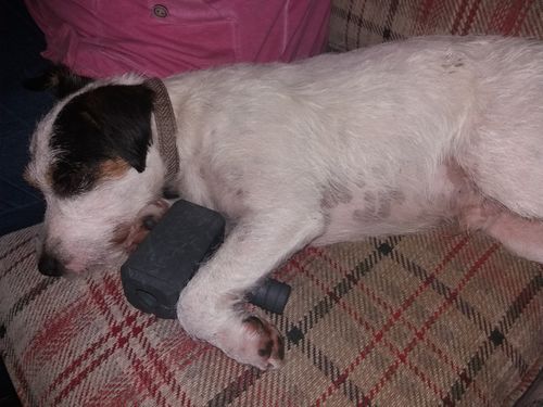 Customer photo review of The Fenrir Hammer