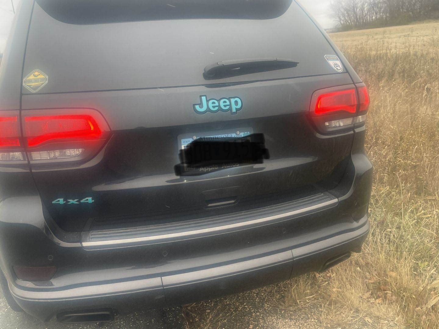 Customer photo review of 4x4 Custom Color Emblem Overlay Decal Sticker