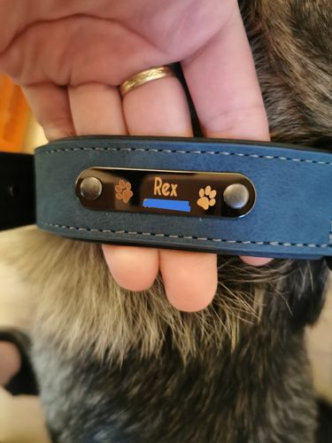 Customer photo review of Personalised Leather Dog Collar & Lead