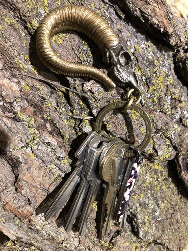 Customer photo review of Bighorn Sheep Skull Keychain | Brass & White Copper